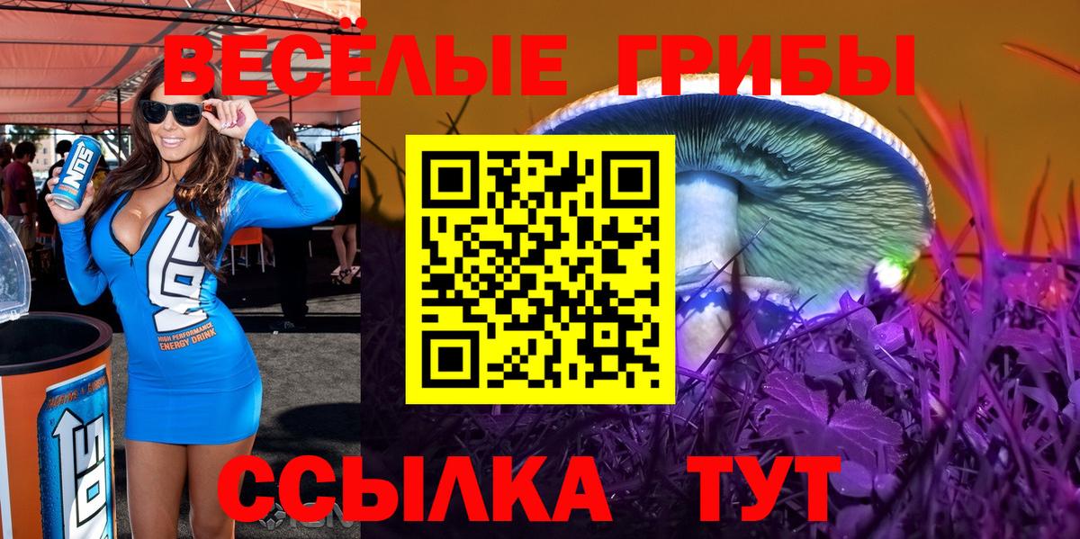 Кашира  Галлюциногенные грибы Psilocybe  Вход с VPN  как найти наркотики  Галлюциногенные грибы мухоморы 